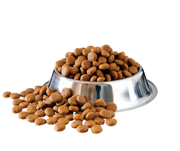 غذا و مکمل غذای حیوانات